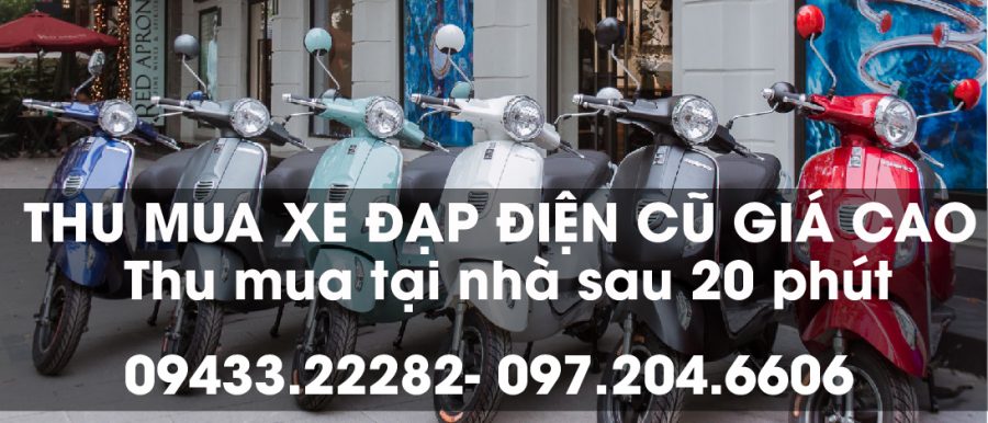 Xe Đạp Điện Bridgestone Nhập Khẩu Cũ Giá Rẻ  Tổng Kho Xe Điện Việt